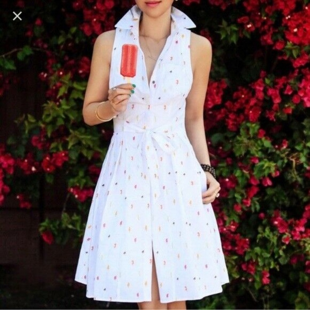 Anthropologie Sleveless Button Down Dress